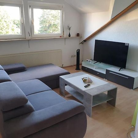 Schoene Wohnung Zentral Ingolstadt Eksteriør billede